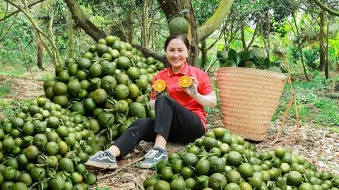 Đội tuyển Việt Nam có thể đá giao hữu với Brazil?